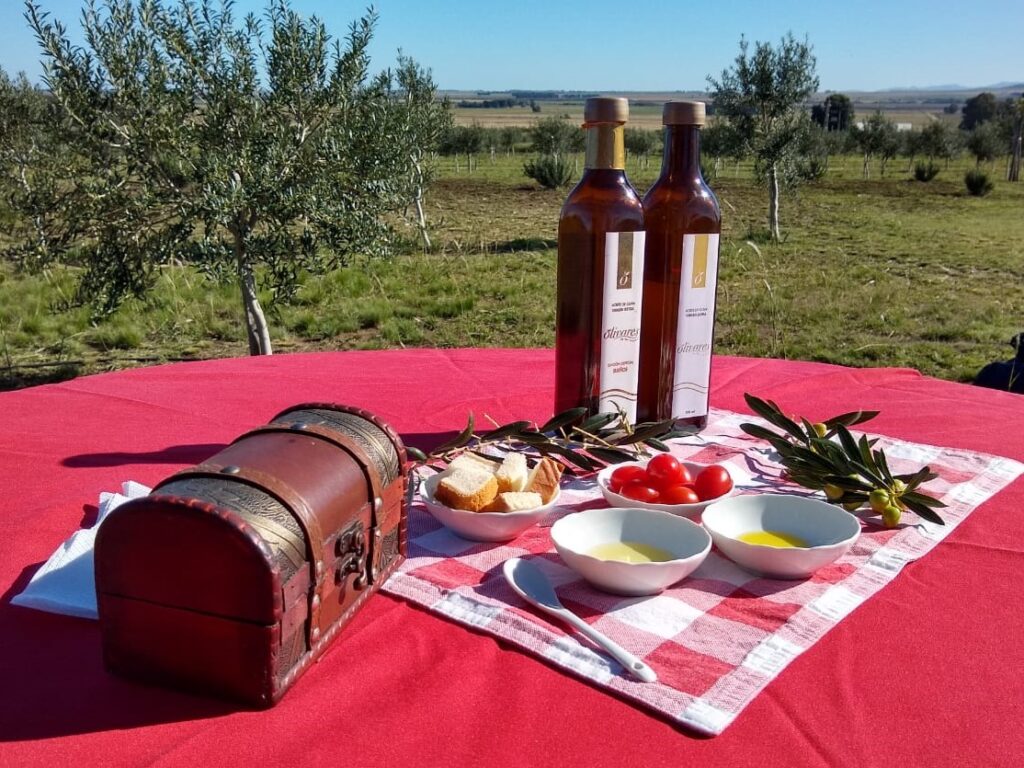 Aceite de oliva, pan casero y tomates cherries para degustar